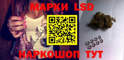 Альфа ПВП Донецк